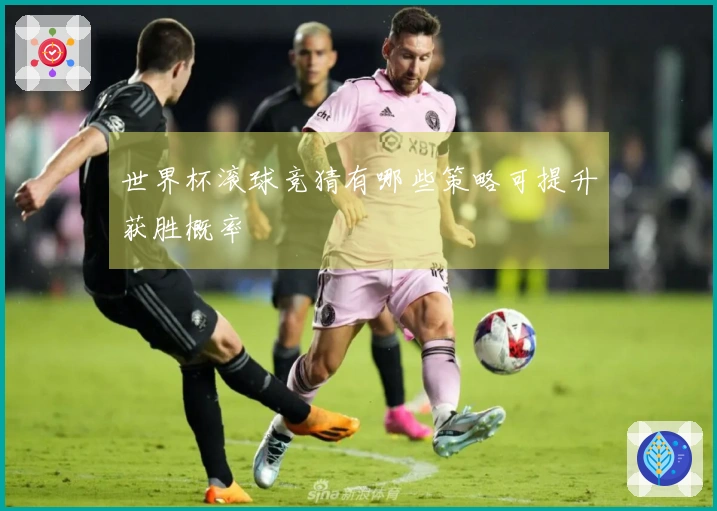 世界杯滚球竞猜有哪些策略可提升获胜概率