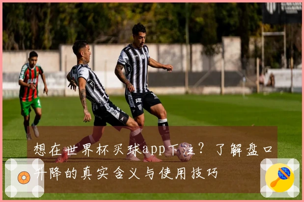 想在世界杯买球app下注?了解盘口升降的真实含义与使用技巧