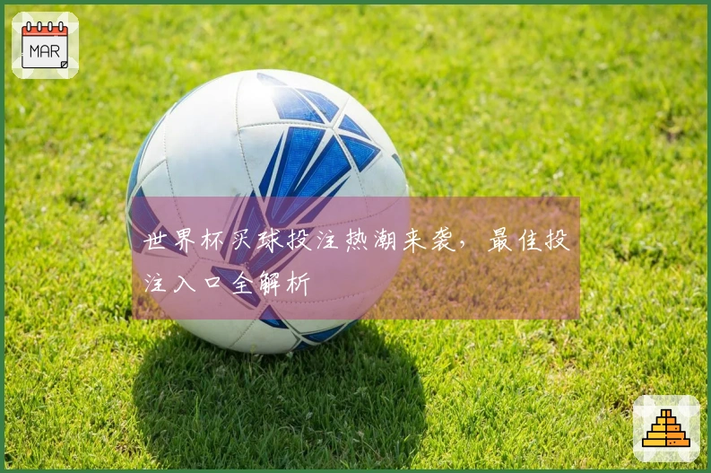 世界杯买球投注热潮来袭，最佳投注入口全解析
