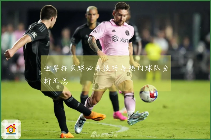 世界杯买球必看技巧与热门球队分析汇总