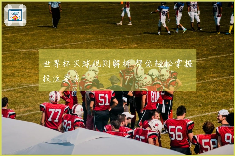 世界杯买球规则解析 帮你轻松掌握投注要点