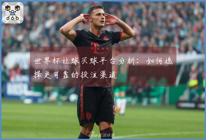 世界杯让球买球平台分析：如何选择更可靠的投注渠道