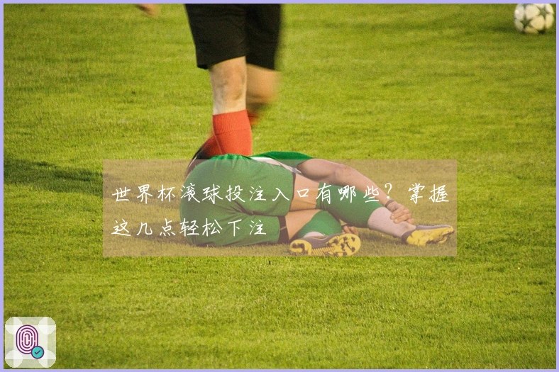 世界杯滚球投注入口有哪些？掌握这几点轻松下注