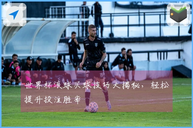 世界杯滚球买球技巧大揭秘，轻松提升投注胜率