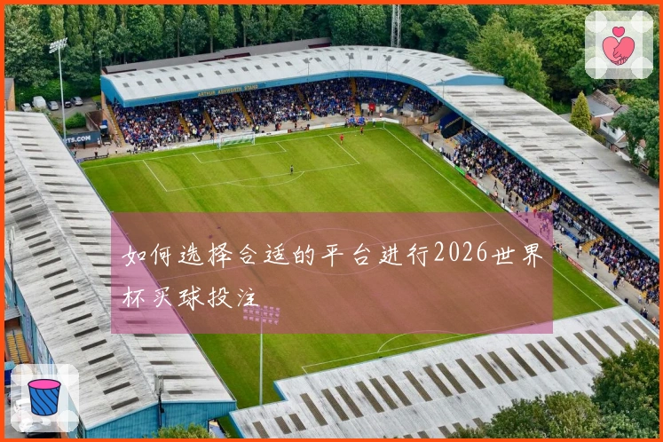 如何选择合适的平台进行2026世界杯买球投注