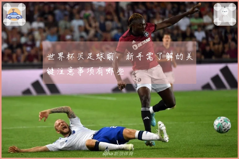 世界杯买足球前，新手需了解的关键注意事项有哪些