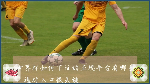 世界杯如何下注的正规平台有哪些,选对入口很关键