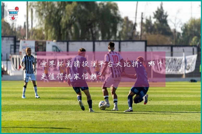 世界杯竞猜投注平台大比拼：哪个更值得玩家信赖？