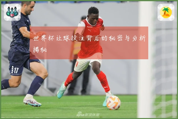 世界杯让球投注背后的秘密与分析揭秘